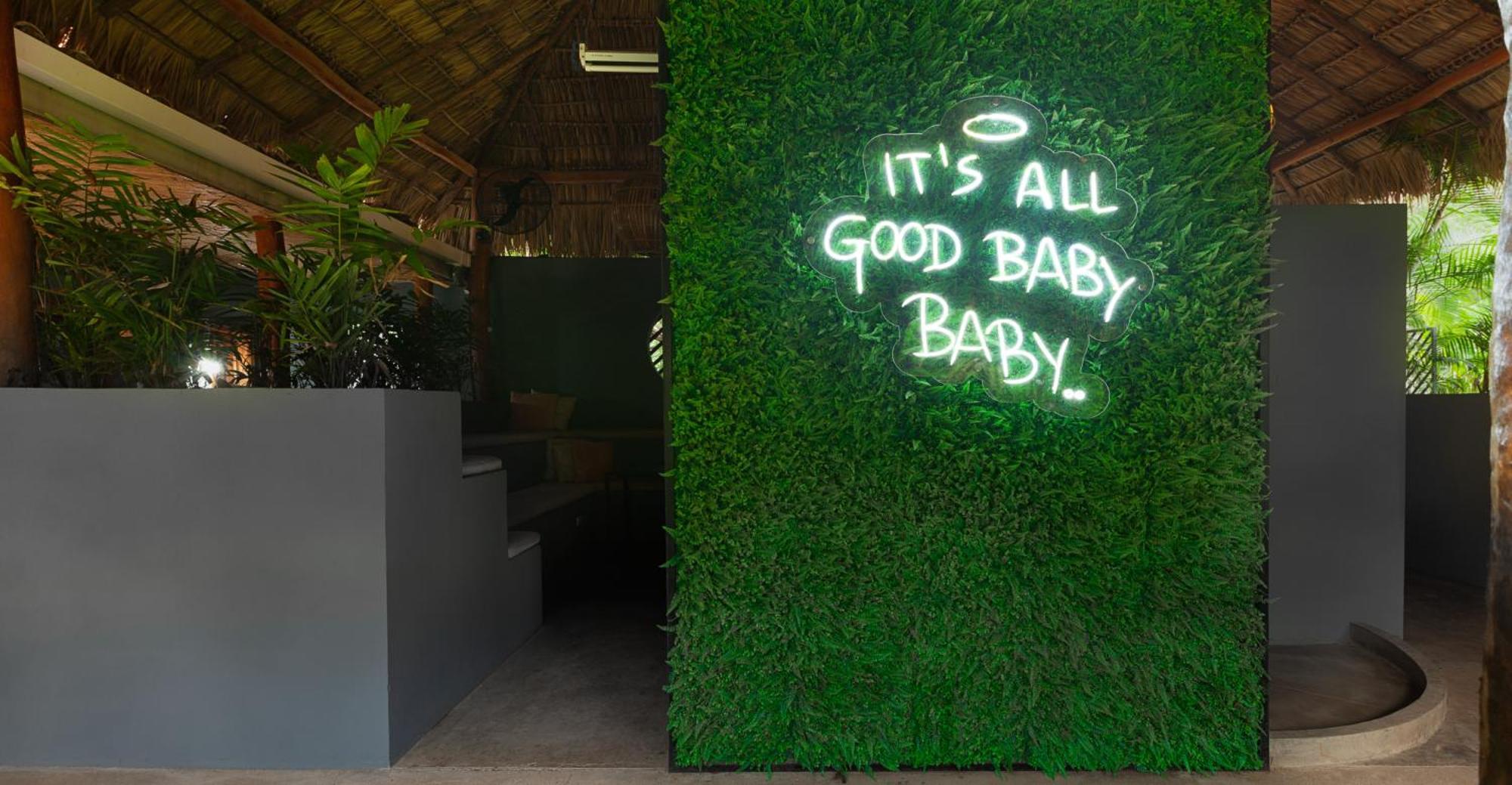 The Space Jungle Oasis 산 후안 델 수르 외부 사진